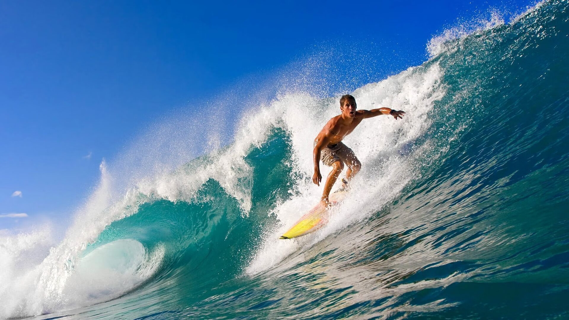 九游体育APP下载-美国马术协会出版“Mustang Challenge”历史专著,记录赛事发展历程。