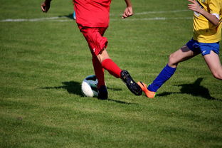 九游平台-拳击国家队备战亚运 实施精英训练计划，拳击亚军奖杯照片